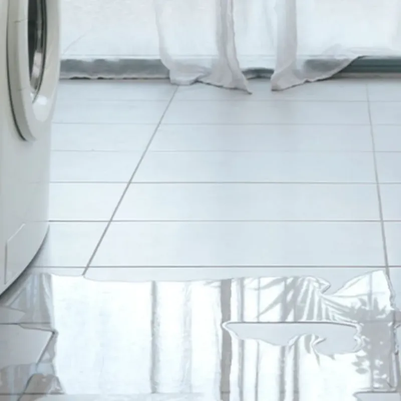 Appliance Leak Cleanup in DeLand, FL