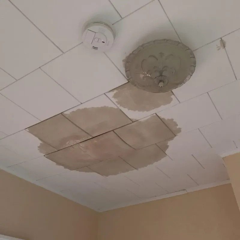 Ceiling Water Damage Repair in DeLand, FL