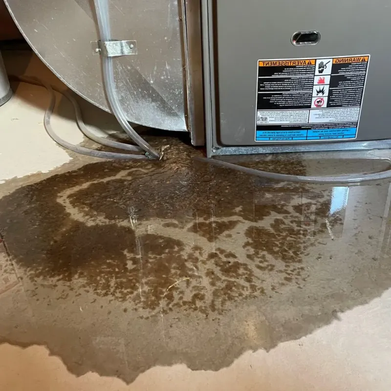 Pipe Burst and Leak Restoration in DeLand, FL